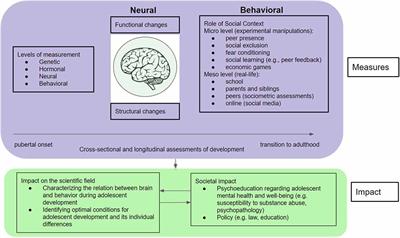 Understanding the Dynamics of the Developing Adolescent Brain Through Team Science